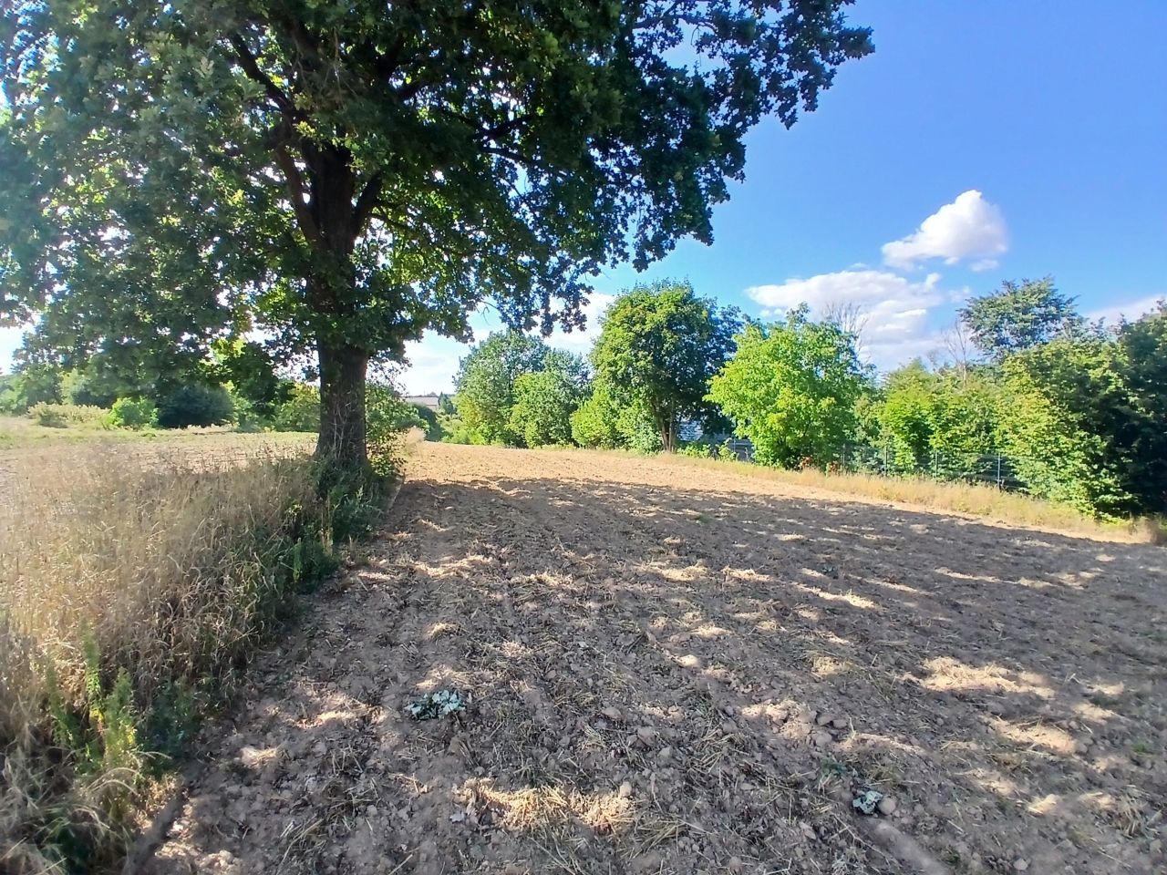Działka rolno-budowlana Konopnica. Zdjęcie 6