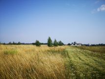 Działka rolna Kleszczewo. Zdjęcie 3