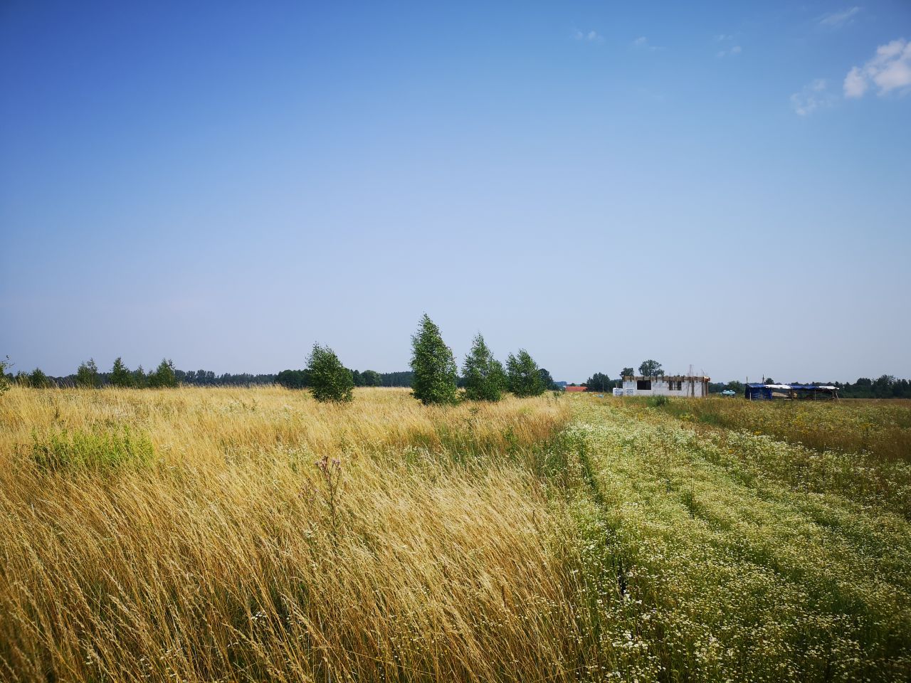 Działka rolna Kleszczewo. Zdjęcie 4