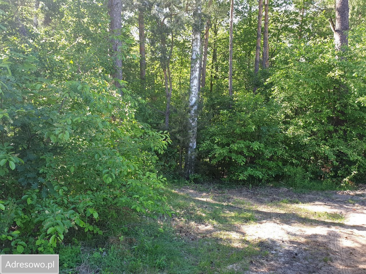 Działka budowlana Rosanów, ul. Małgorzaty. Zdjęcie 3