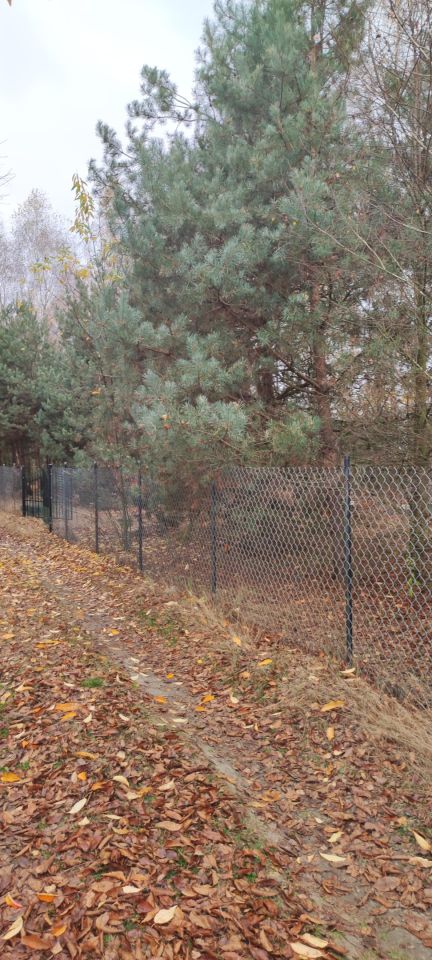 Działka rolna Osada-Wola. Zdjęcie 11