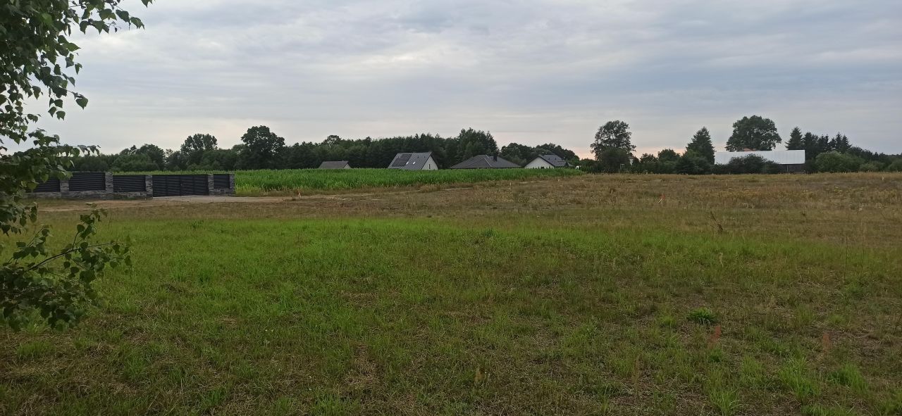 Działka budowlana Tołcze, ul. Leszczynowa. Zdjęcie 6