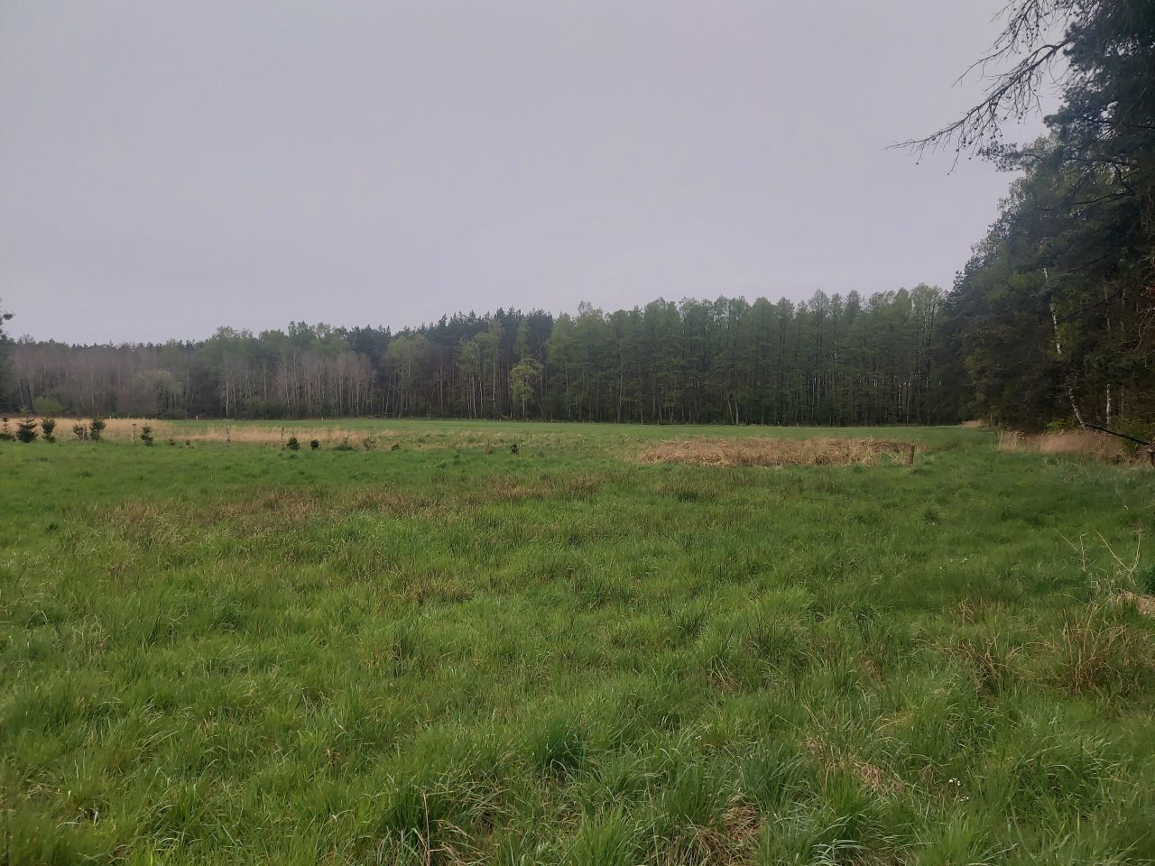 Działka inwestycyjna Goleniów. Zdjęcie 5