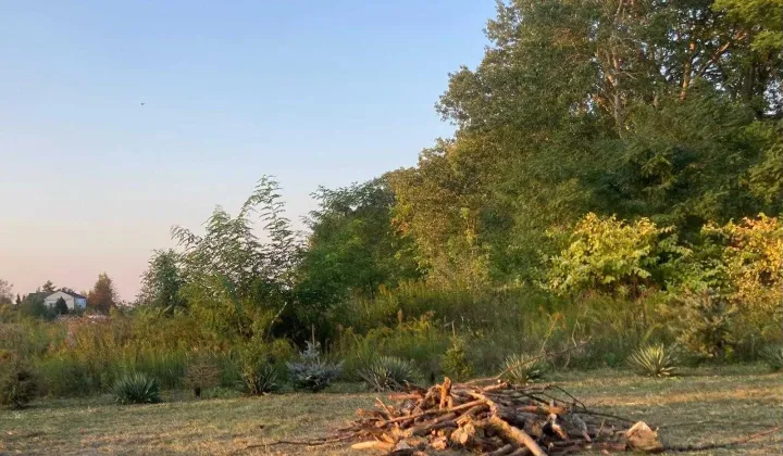 Działka rolno-budowlana Kraśnicza Wola