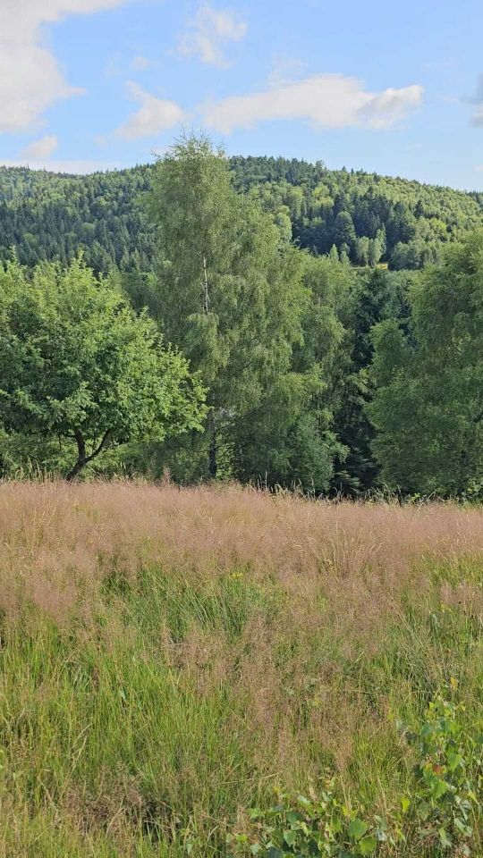 Działka budowlana Kocierz Rychwałdzki. Zdjęcie 3