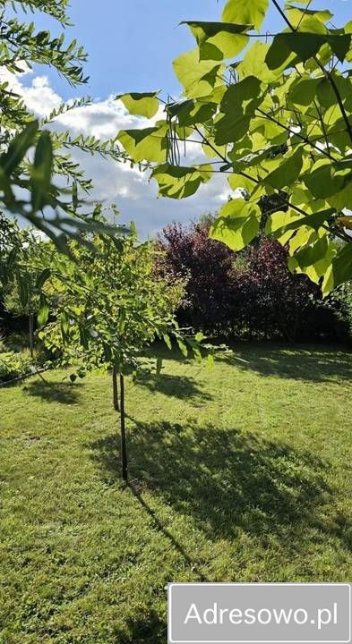 Działka rod Chełmno. Zdjęcie 8