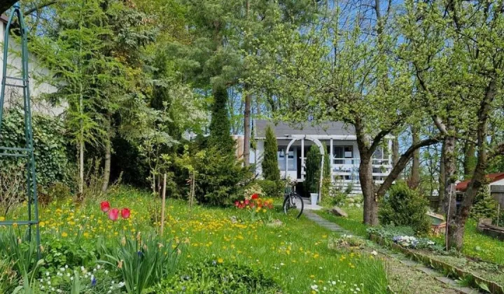 Działka rod Szczecin Centrum