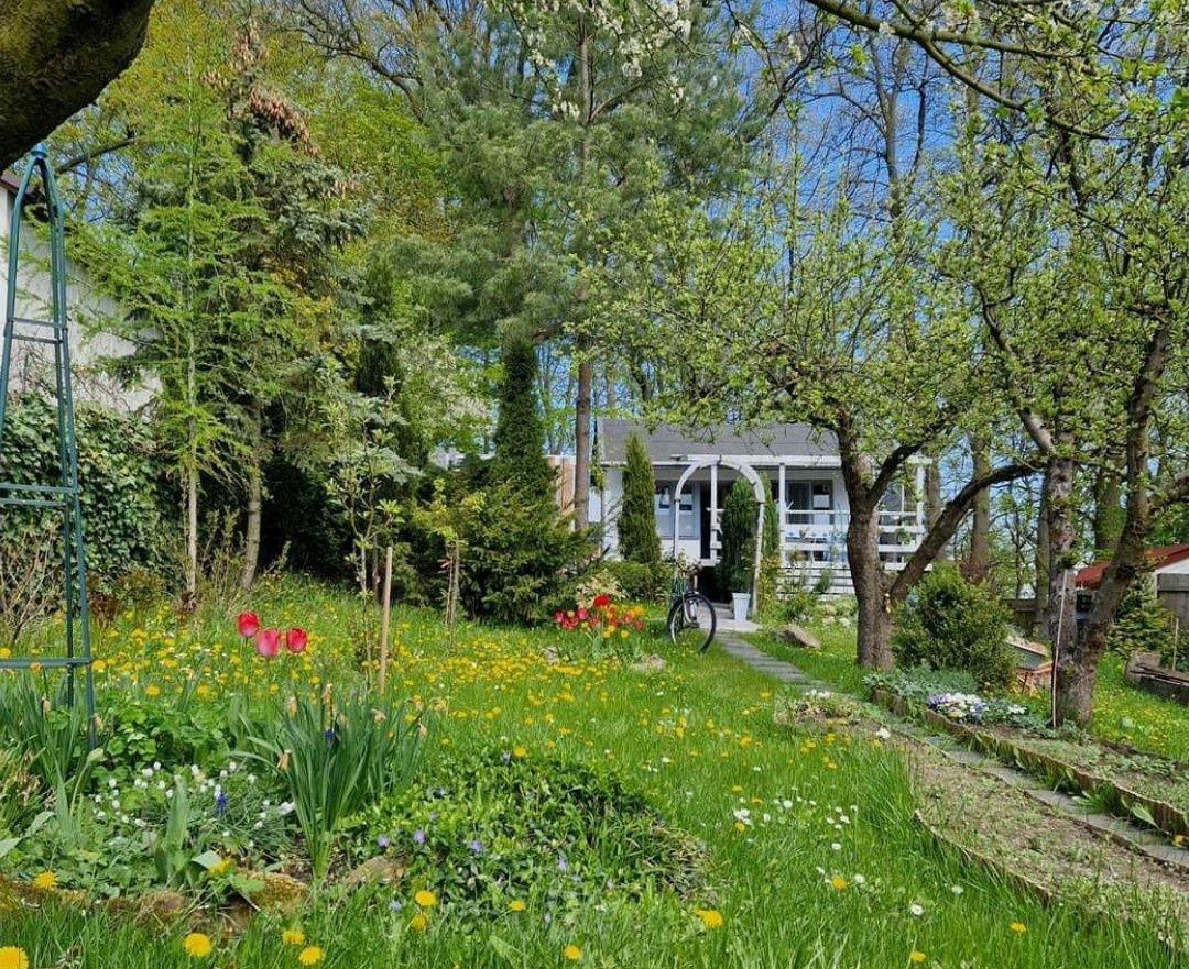 Działka rod Szczecin Centrum. Zdjęcie 1