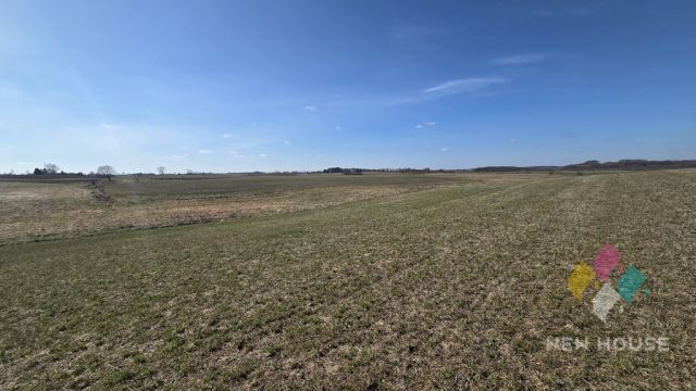 Działka rolna Woźnice. Zdjęcie 10