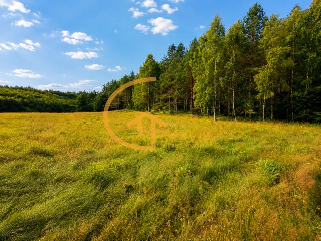 Działka budowlana Rozłazino. Zdjęcie 7
