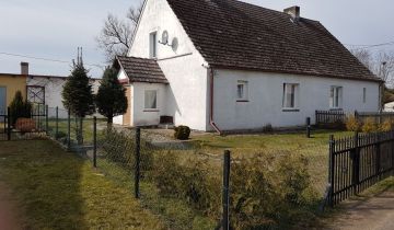 bliźniak Stepień
