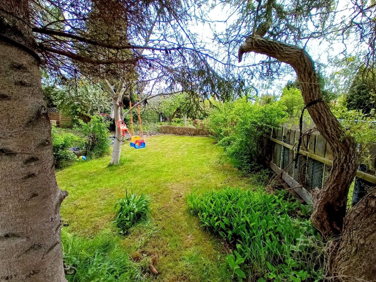 Działka rod Gdańsk Żabianka. Zdjęcie 8