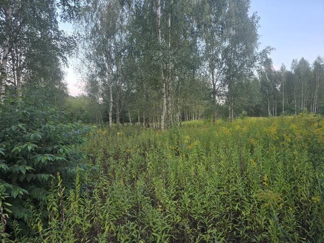 Działka budowlana Wołomin, ul. Kochanowskiego