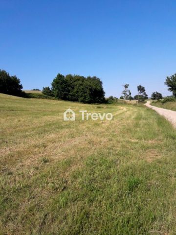 Działka budowlana Goszczyno. Zdjęcie 2