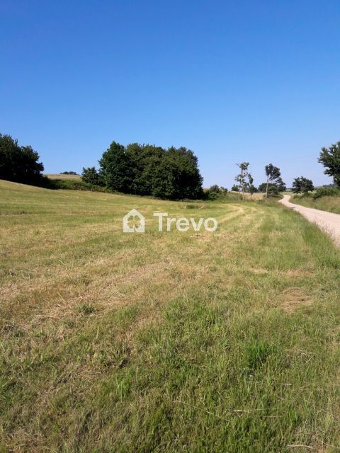 Działka budowlana Goszczyno. Zdjęcie 2