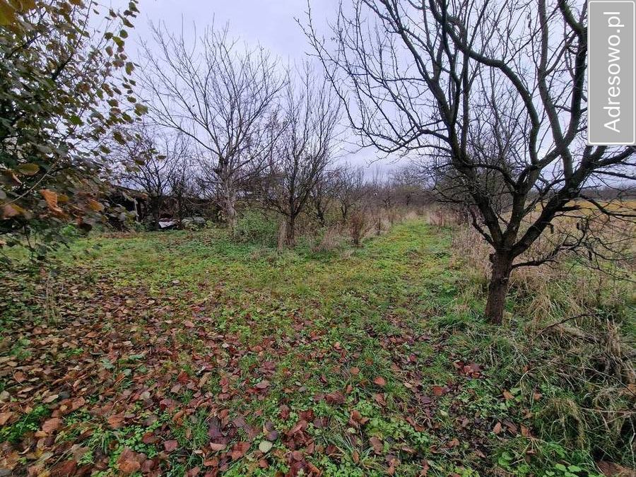 Działka rolno-budowlana Szydłów, ul. Kielecka. Zdjęcie 8