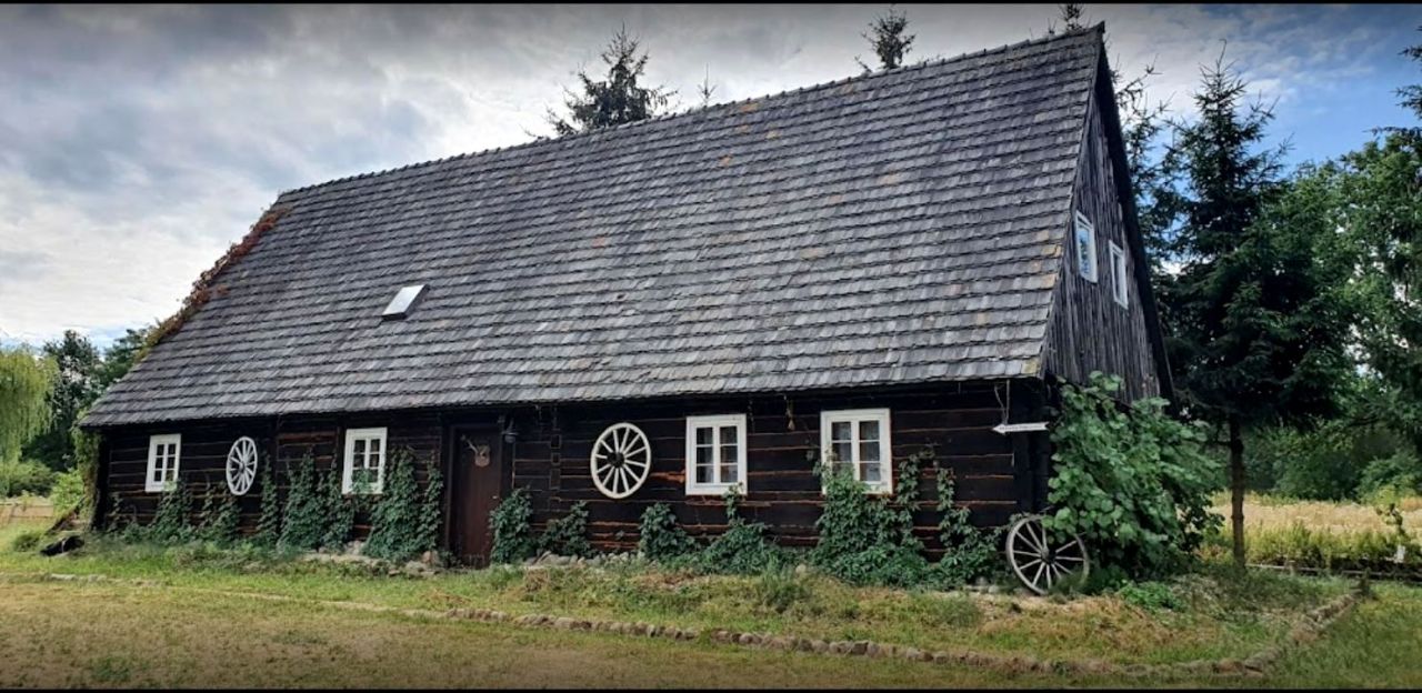 Lokal Buczyny. Zdjęcie 9