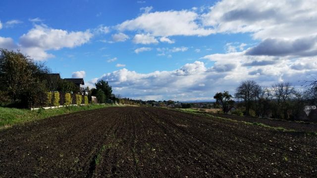 Działka rolno-budowlana Boleń. Zdjęcie 1