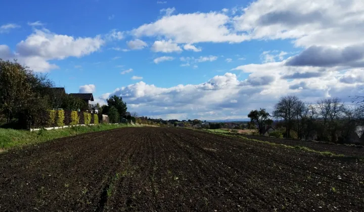 Działka rolno-budowlana Boleń