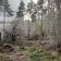Działka rekreacyjna Łubiana. Zdjęcie 4