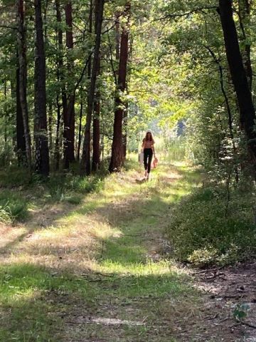 Działka leśna Osieck Kąciki, ul. Porannej Rosy. Zdjęcie 1