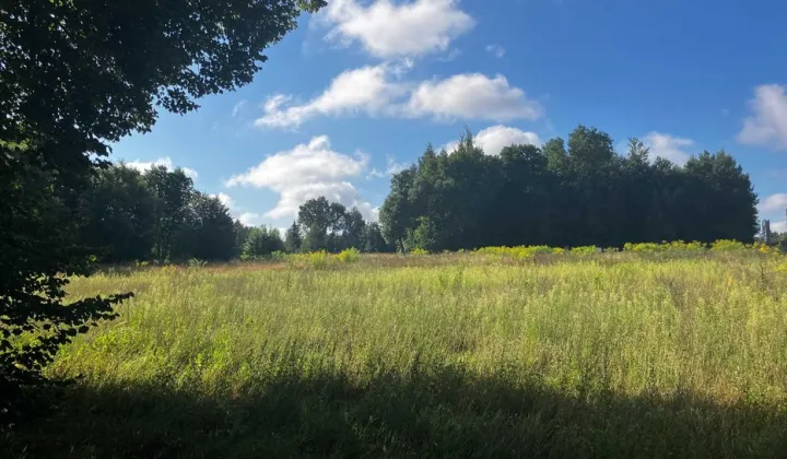 Działka budowlana Kolonia Brużyca