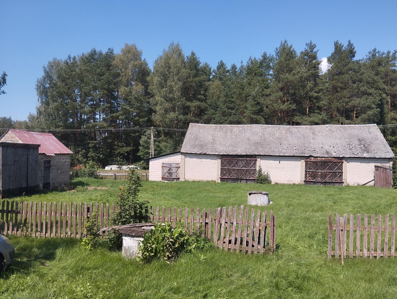 Działka siedliskowa Cisów. Zdjęcie 9