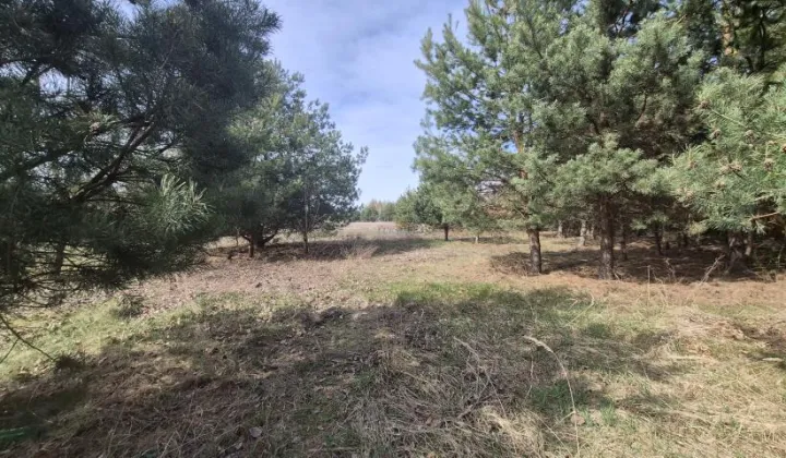 Działka budowlana Dobiesz