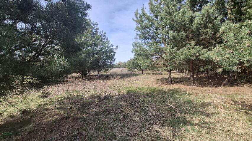 Działka budowlana Dobiesz. Zdjęcie 1