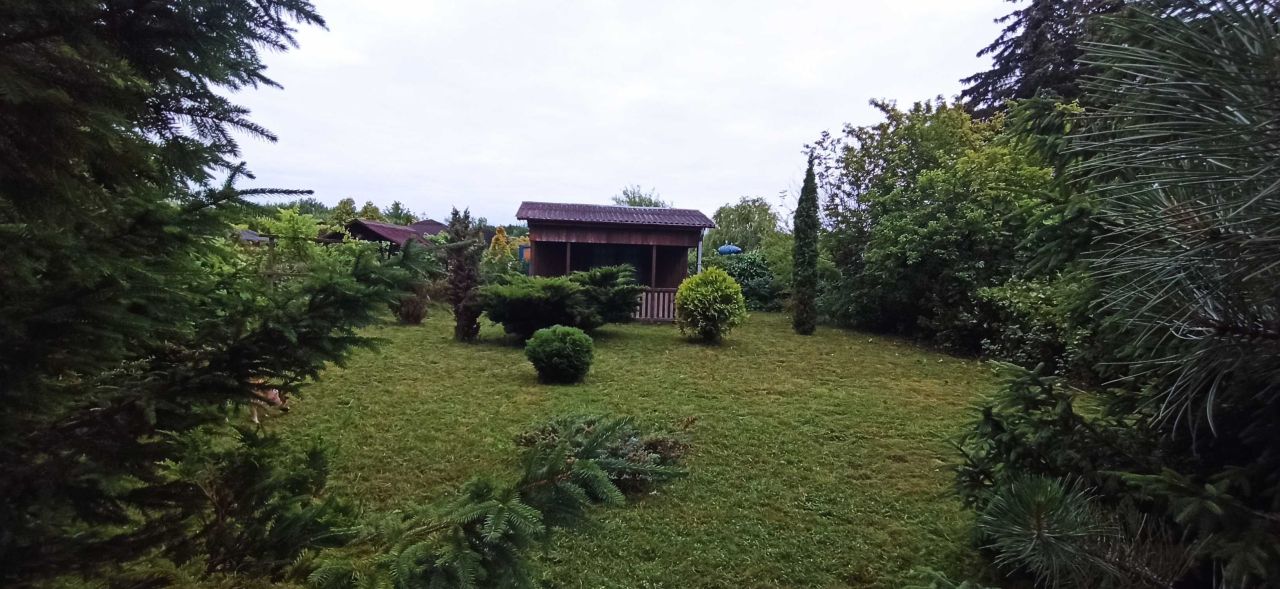 Działka rod Dęblin Lotnisko. Zdjęcie 4