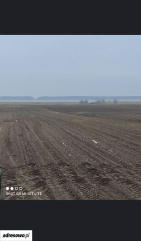 Działka rolna Gleźnowo. Zdjęcie 1