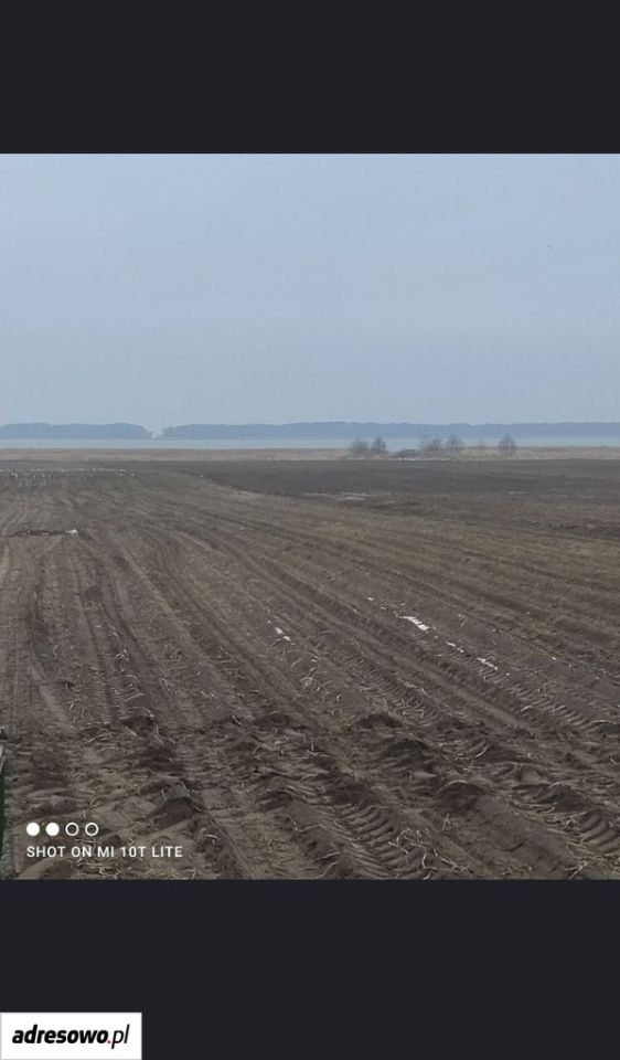 Działka rolna Gleźnowo. Zdjęcie 1