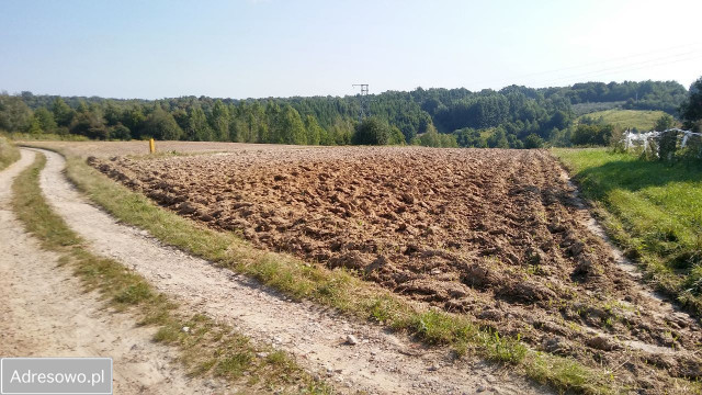 Działka budowlana Kazimierz Dolny Wylągi. Zdjęcie 1