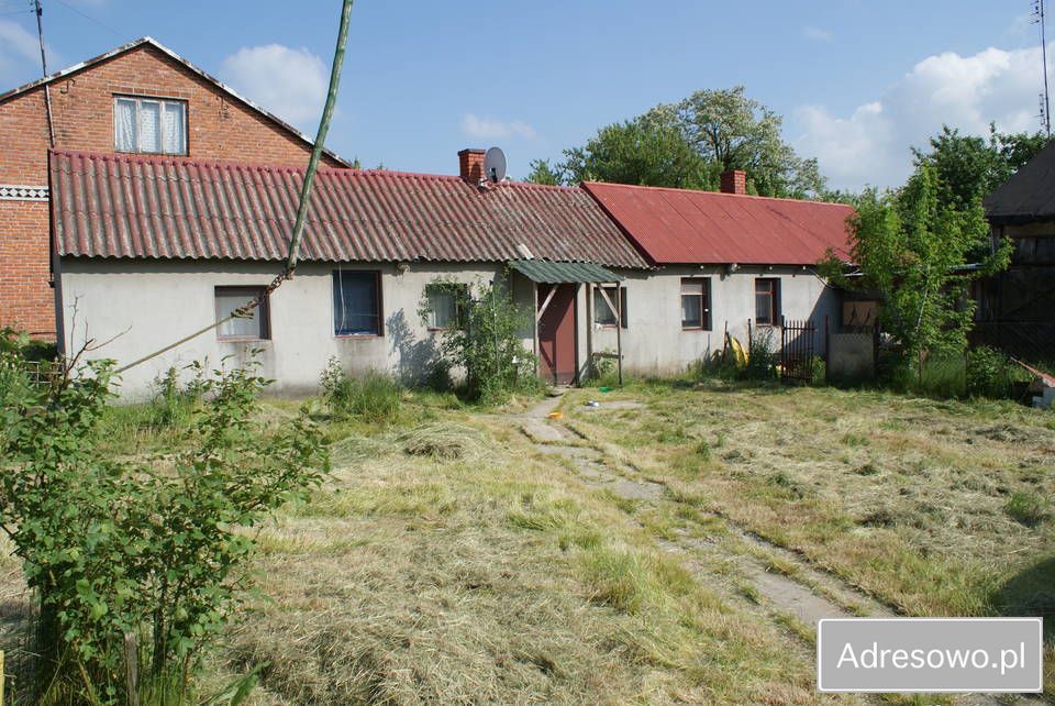 siedlisko Zabłocie. Zdjęcie 6