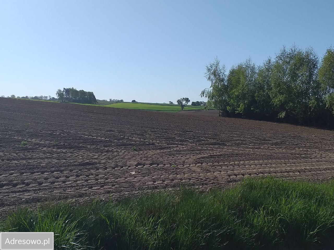 Działka rolno-budowlana Żmijewko. Zdjęcie 7