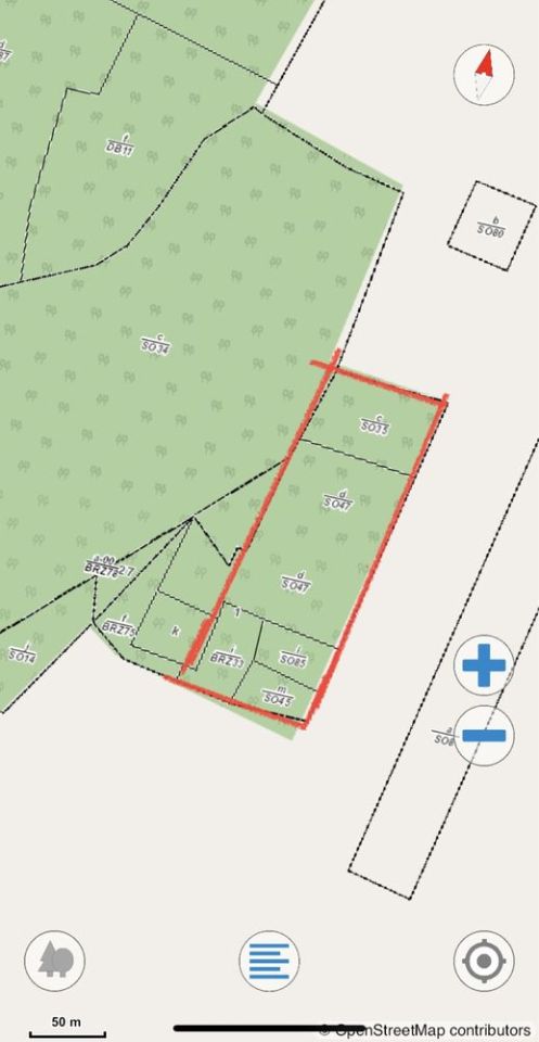 Działka leśna Laski. Zdjęcie 2