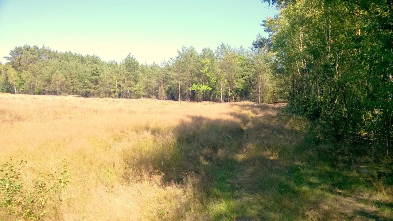 Działka budowlana Kwilno. Zdjęcie 4