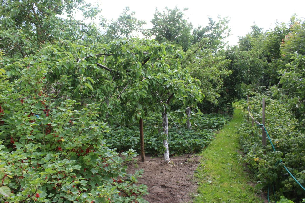 dom wolnostojący, 4 pokoje Puzdrowo. Zdjęcie 23