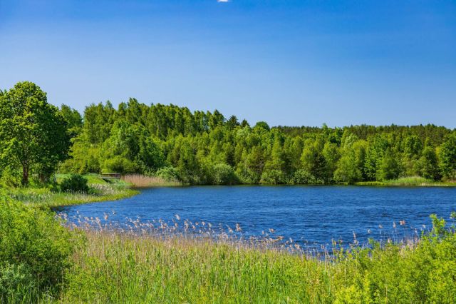 Działka rekreacyjna Mostkowo. Zdjęcie 25