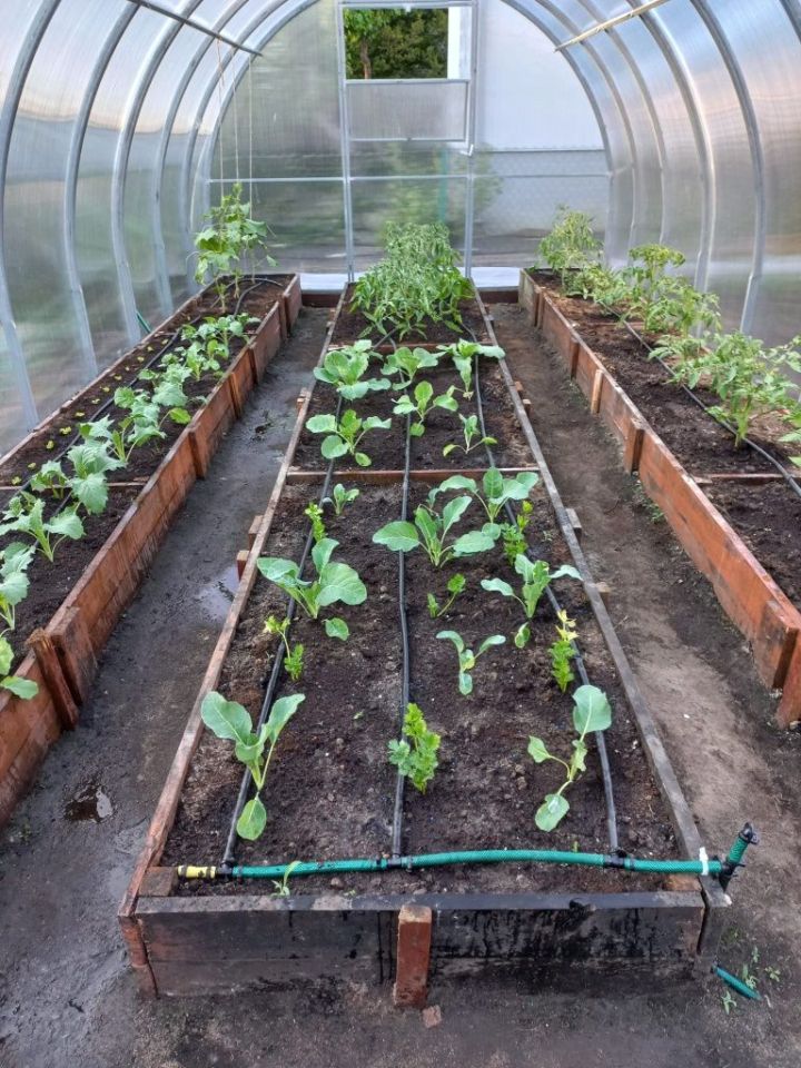 Działka rod Wejherowo Nanice, ul. Nadrzeczna. Zdjęcie 5