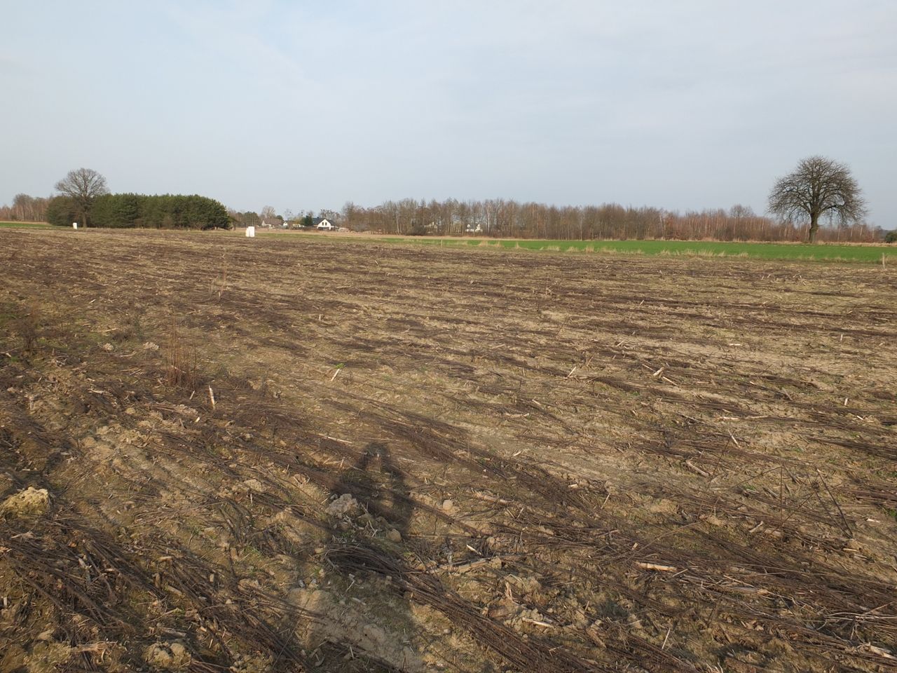 Działka budowlana Janów Ruszki. Zdjęcie 4