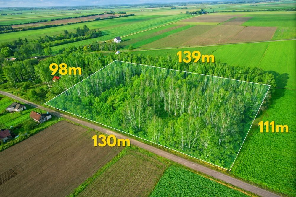 Działka rolno-budowlana Pokinianka. Zdjęcie 2