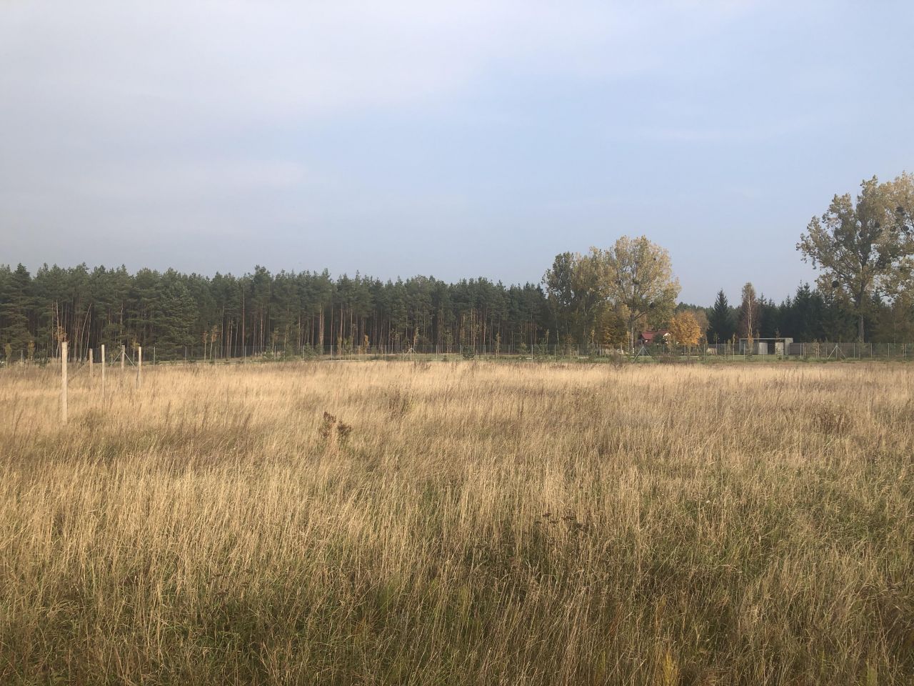 Działka budowlana Stary Sumin. Zdjęcie 9