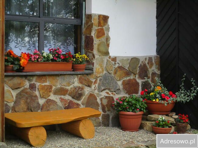 Hotel/pensjonat Rabe. Zdjęcie 8