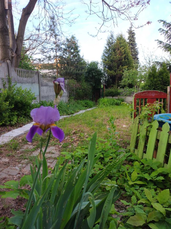 Działka rod Siemianowice Śląskie Bytków. Zdjęcie 3