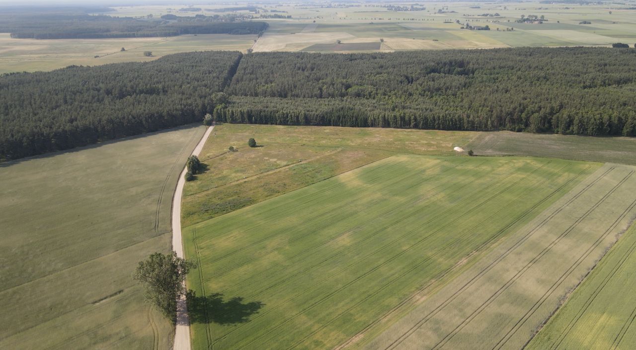 Działka budowlana Paruszka. Zdjęcie 3