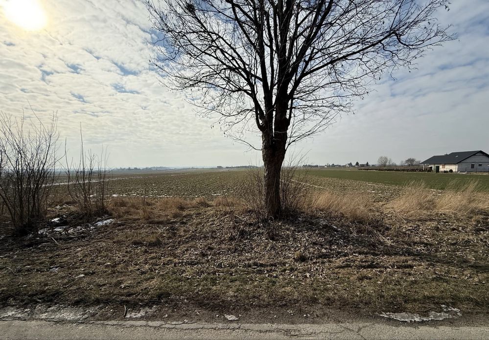 Działka budowlana Niemce Włóki. Zdjęcie 5