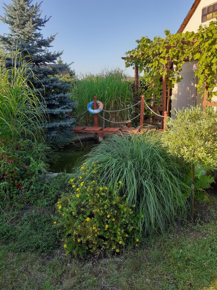 Działka rod Osiek. Zdjęcie 11