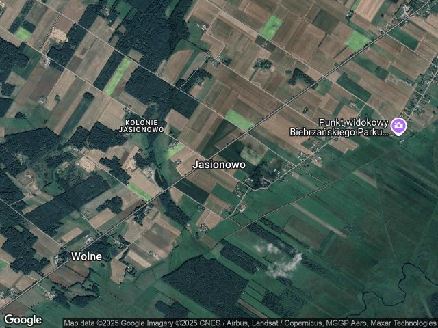 Działka leśna Jasionowo. Zdjęcie 1