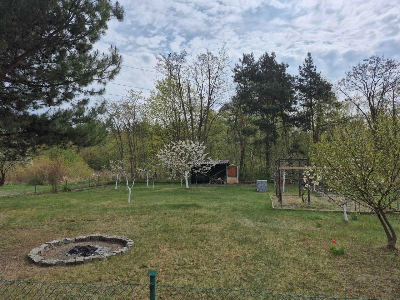 Działka rod Nowy Świat. Zdjęcie 5